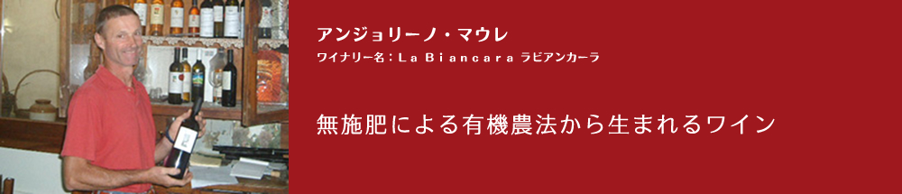 アンジョリーノ・マウレ　【ワイナリー名：La Biancara ラビアンカーラ】