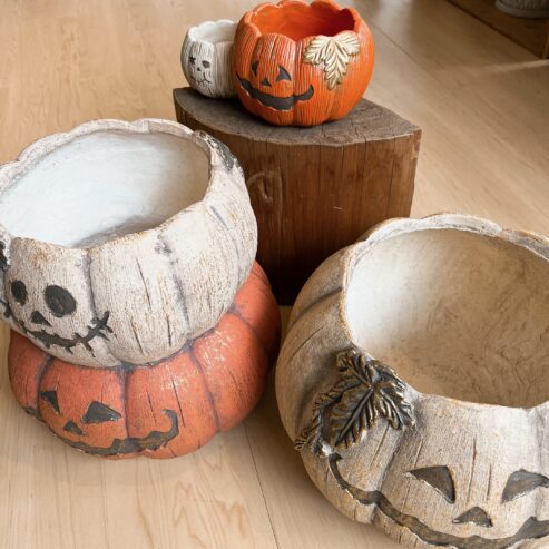 カボチャ型の鉢でハロウィンを楽しもう！ | カヤノ オンラインマガジン