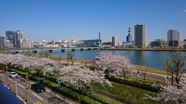 キッチンを中心としたストレート動線が魅力のマンションフルリノベーション カヤノ オンラインマガジン 生活を楽しむウェブマガジン